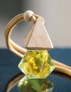 Tinh dầu khử mùi ô tô đang được nhiều chủ xe tin dùng 