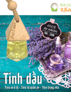 Cách khử mùi xe ô tô hiệu quả với tinh dầu treo xe
