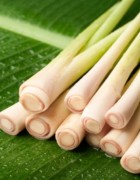Tìm hiểu giá bán tinh dầu sả chanh trên thị trường hiện nay