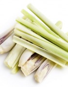Tinh dầu Sả Chanh - Cỏ Chanh - Lemongrass