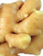 Tinh dầu Gừng-Ginger